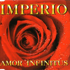 Amor Infinitus (Mix Version) album cover