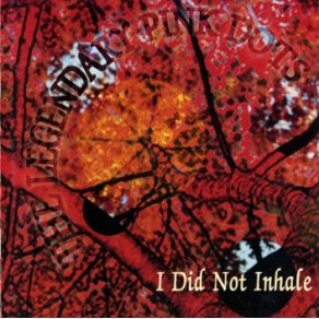 I Did Not Inhale album cover
