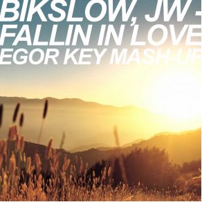 In Love (Single) album cover