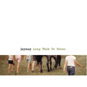 Long Walk To Never album cover