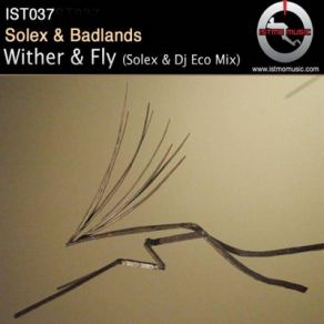 Wither & Fly (Single) album cover