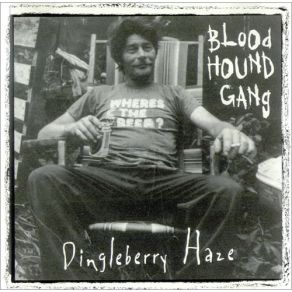 Dingleberry Haze album cover