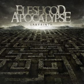 Labyrinth album cover