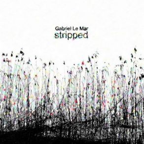 Stripped album cover