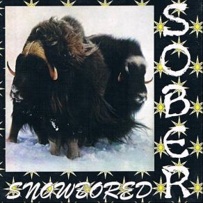 Snowbored (Single) album cover
