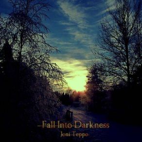 Fall Into Darkness album cover