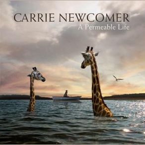 A Permeable Life album cover
