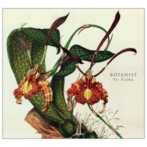 VI: Flora album cover