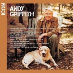 Icon album cover