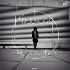 The Journey album cover