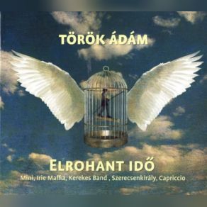 Elrohant Ido album cover