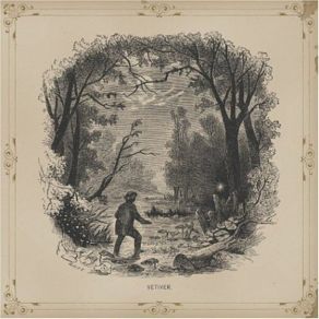 Vetiver album cover