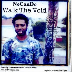 Walk The Void album cover