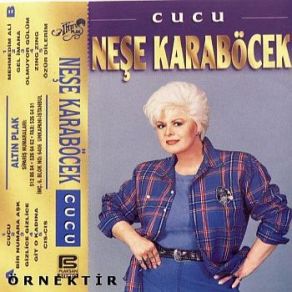 Cucu & Öp Gizlice album cover