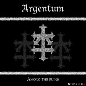 Among The Ruins album cover