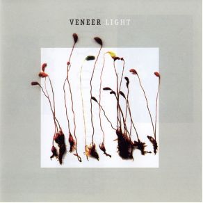 Light album cover