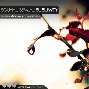 Sublimity album cover