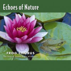 Frog Chorus album cover