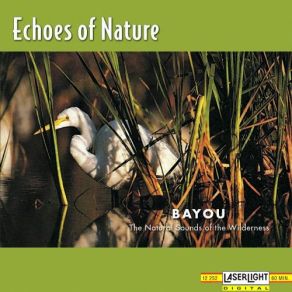 Bayou album cover
