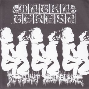 Fuck On The Beach Split Matka Teresa album cover