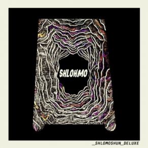 Shlomoshun Redux album cover