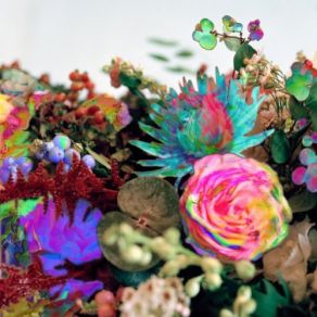 News From Nowhere album cover