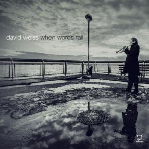 When Words Fail album cover