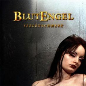 Seelenschmerz album cover