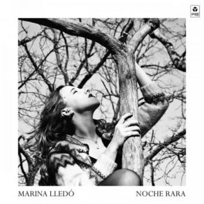 Noche Rara album cover