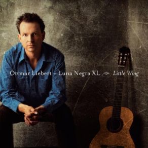 Little Wing album cover