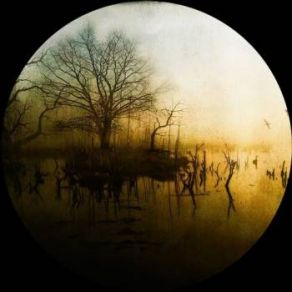 Transcend album cover