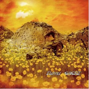 Flower album cover