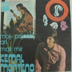 Moj Prijatelj Ari album cover