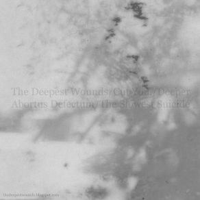 The Deepest Wounds album cover