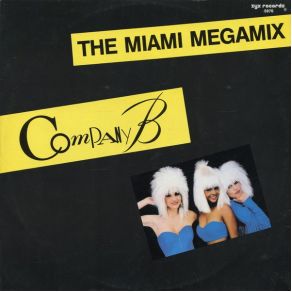 The Miami Megamix album cover