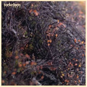Torkelsen album cover