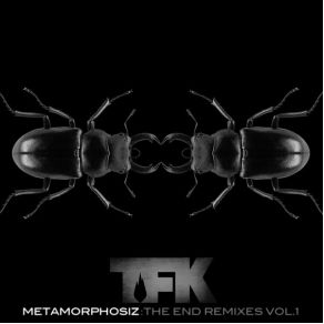 Metamorphosiz: The End Remixes, Vol. 1 album cover