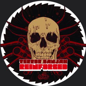 Reinforced album cover