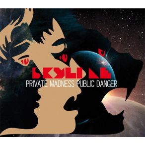 Private Madness Public Danger album cover