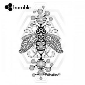 Pollination album cover
