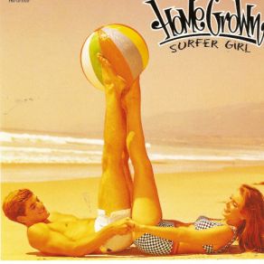 Surfer Girl album cover