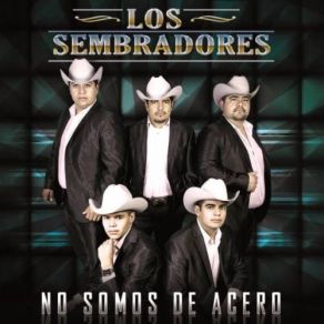 No Somos De Acero album cover