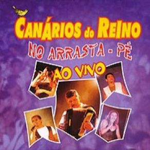 Arrasta Pé - Vol. 01 album cover