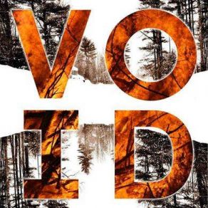 Void album cover