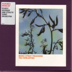 The Everlasting (CD2) album cover