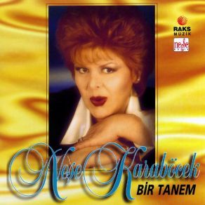 Bir Tanem album cover