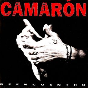 Reecuentro album cover