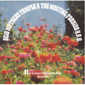 41st Century Splendid Man album cover