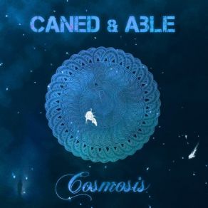 Cosmosis album cover
