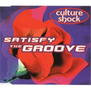 Satisfy The Groove album cover